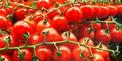 An image of cherry_tomato