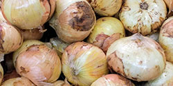 An image of onion