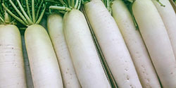 An image of radish